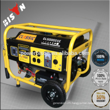 Bison Japanese technology LPG high quality generator